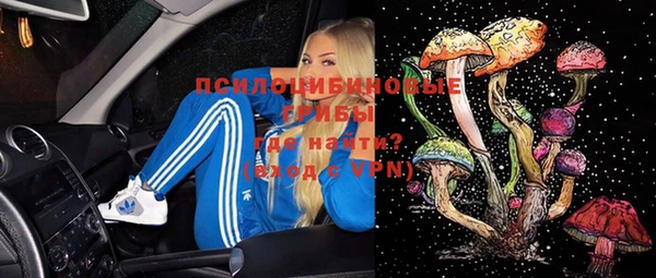 дживик Алексин