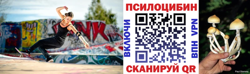 гидра сайт  Клинцы  Галлюциногенные грибы мицелий 